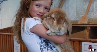 Cantref Adventure Farm