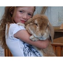 Cantref Adventure Farm
