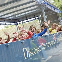 Chatsworth House, Gardens & Farmyard