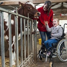 Chatsworth House, Gardens & Farmyard