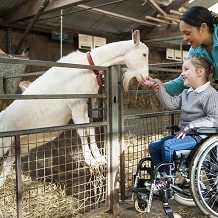 Chatsworth House, Gardens & Farmyard