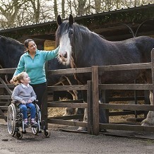 Chatsworth House, Gardens & Farmyard