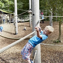 Chatsworth House, Gardens & Farmyard