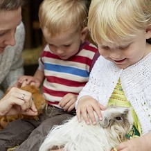 Chatsworth House, Gardens & Farmyard