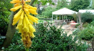 Chelsea Physic Garden