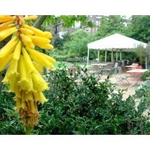 Chelsea Physic Garden