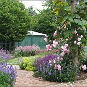 Chiltern Open Air Museum