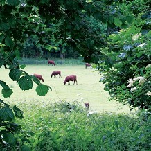 Church Farm