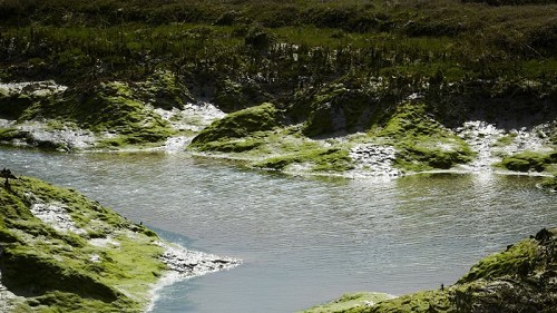 Copt Hall marshes