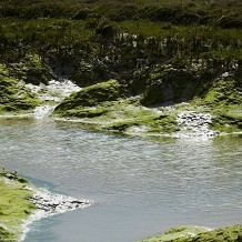 Copt Hall marshes