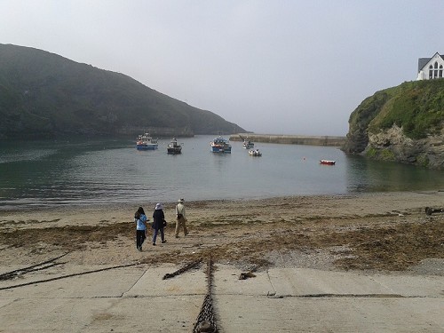 Cornish Heritage Safari