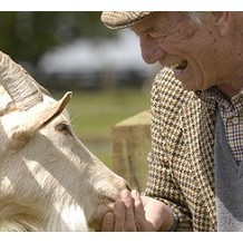 Cotswold Farm Park