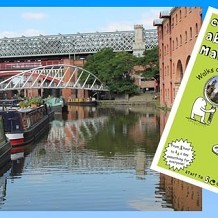 Curious About Manchester