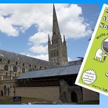 Curious About Norwich