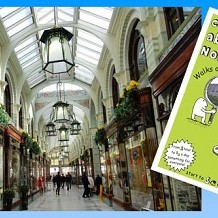 Curious About Norwich