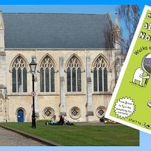 Curious About Norwich