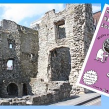 Curious About Southampton