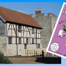 Curious About Southampton