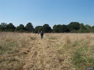 Danbury Country Park