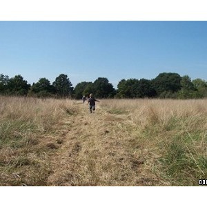 Danbury Country Park