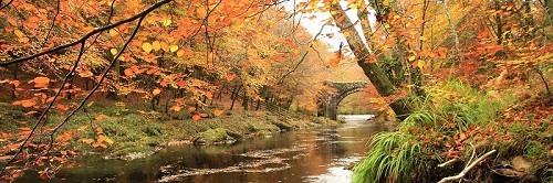 Dartmoor National Park - River Dart