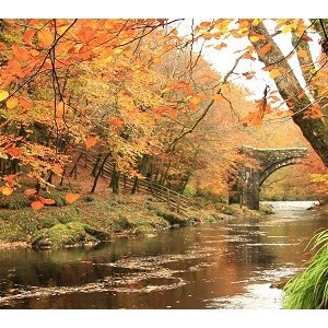 Dartmoor National Park