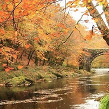 Dartmoor National Park - River Dart