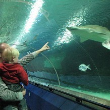Deep Sea World - &copy; Kirsty Meddings