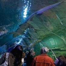 Deep Sea World - &copy; Brian Smith