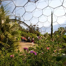Eden Project