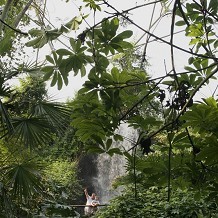 Eden Project