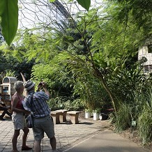 Eden Project