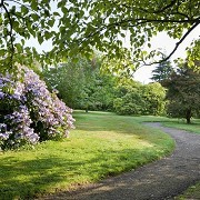 Emmetts Garden - © Andrew Butler