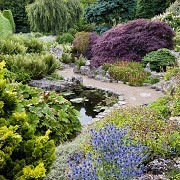 Emmetts Garden - © Andrew Butler
