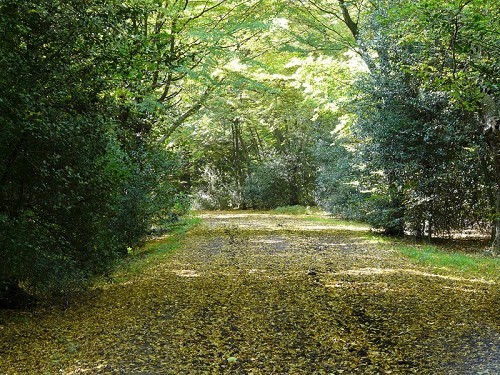 Epping Forest Visitor Centre - © Loz Pycock