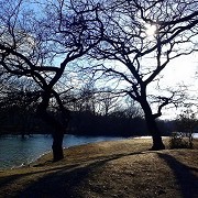 Epping Forest Visitor Centre - © Valentina Nargino