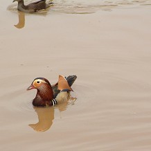 Epping Forest Visitor Centre - &copy; David Jones