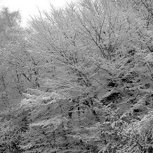 Epping Forest Visitor Centre - &copy; Lenny Montana