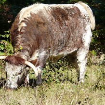 Epping Forest Visitor Centre - &copy; Loz Pycock