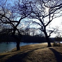 Epping Forest Visitor Centre - &copy; Valentina Nargino