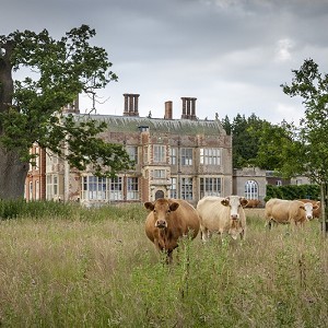 Felbrigg Hall, Gardens and Estate