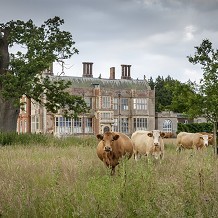 Felbrigg Hall, Gardens and Estate