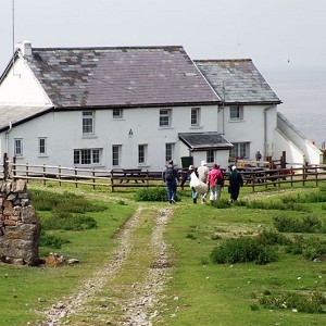 Flat Holm Island