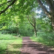 Fletcher Moss Botanical Garden