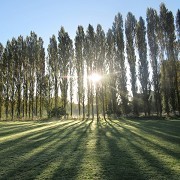 Fletcher Moss Botanical Garden