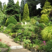 Fletcher Moss Botanical Garden