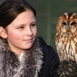 Gauntlet Birds of Prey Eagle and Vulture Park