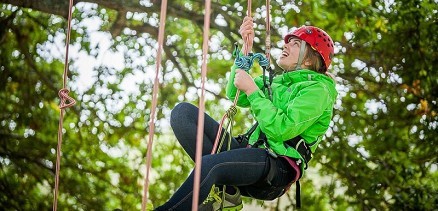 Goodleaf Tree Climbing