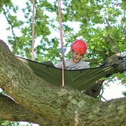 Goodleaf Tree Climbing