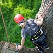 Goodleaf Tree Climbing